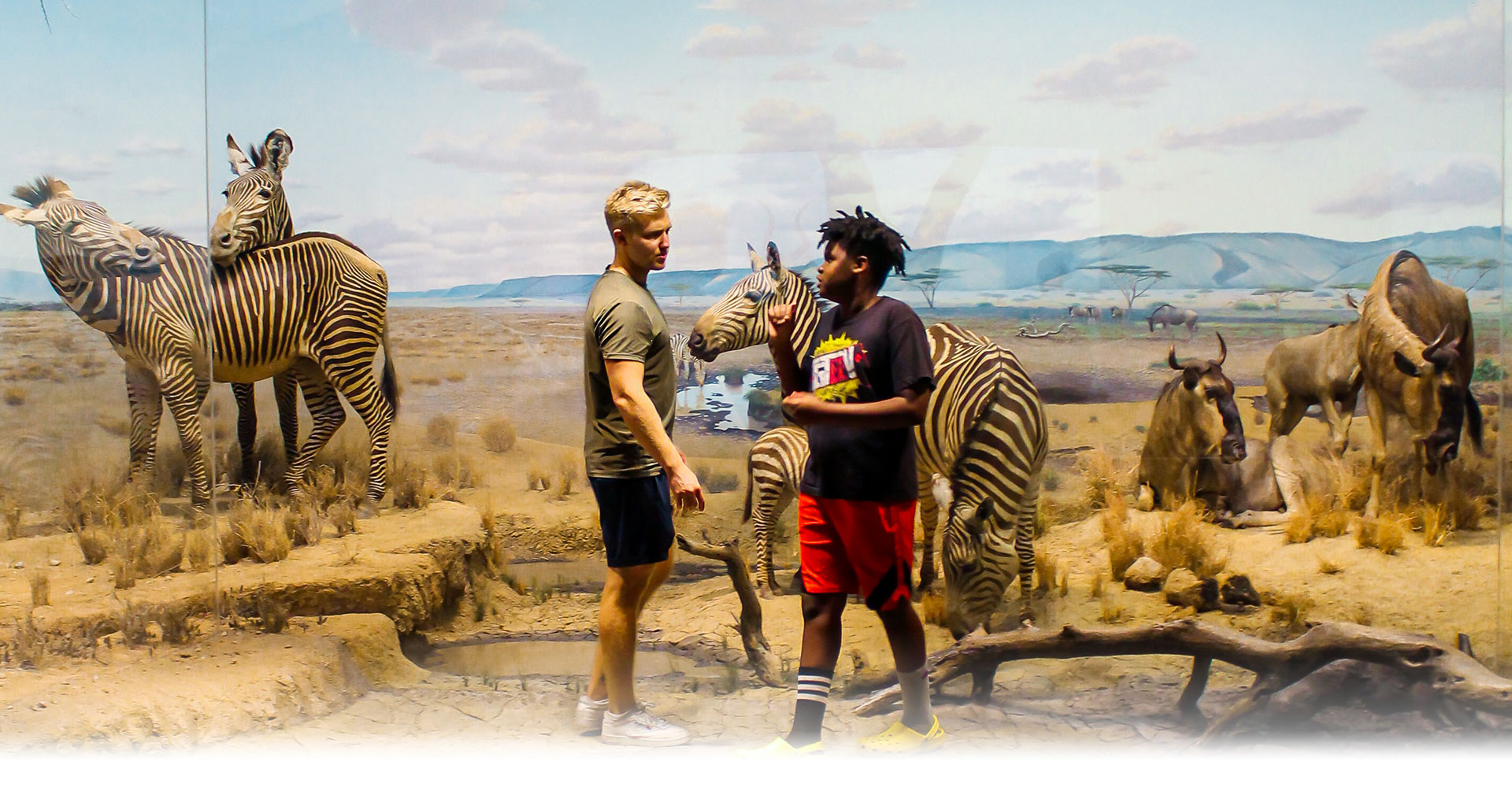 Terms and Conditions